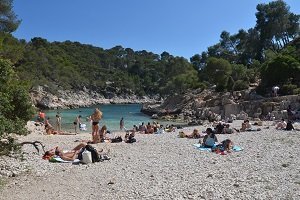 Calanque de Port Pin - Marseille