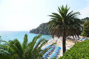 Plages Rayol-Canadel-sur-Mer