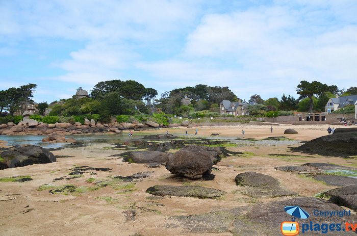 St Guirec à marée basse - La Plage