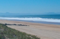 Tarnos : de belles plages entre dunes et étangs dans les Landes