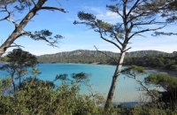 Porquerolles : la plus grande île dans le golfe d’Hyères