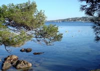 Presqu’ile de Giens : un site sauvage dans la station balnéaire d’Hyères