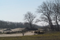 Dune de Ghyvelde à proximité de Bray-Dunes - Nord