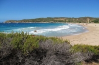 Arone : a wild beach in Corsica with many amenities