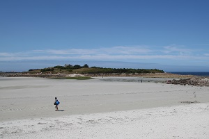 L’île de Sieck l'ile sauvage au large de Santec accessible à pied