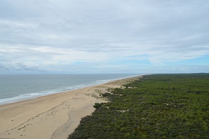 Presqu’île d’Arvert : entre plage de sable et ostréiculture