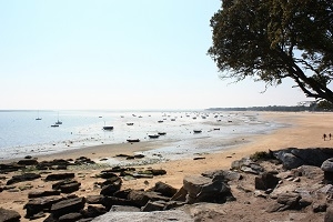 Les îles de la Vendée : Yeu et Noirmoutier