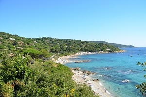 Où partir en vacances avec son chien en bord de mer ?