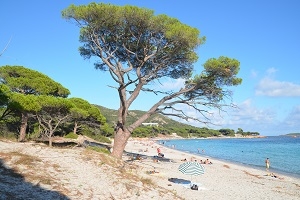 Quel golfe choisir en Corse ?