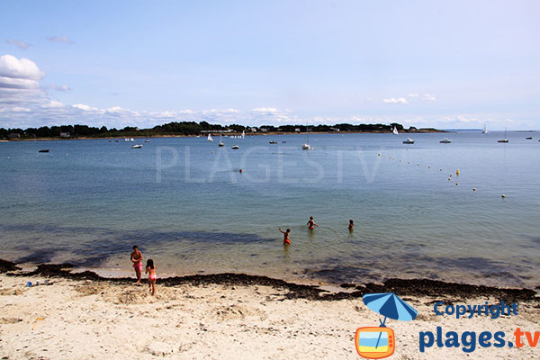 Baignade à volonté !