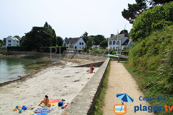 Chemin de bord de mer