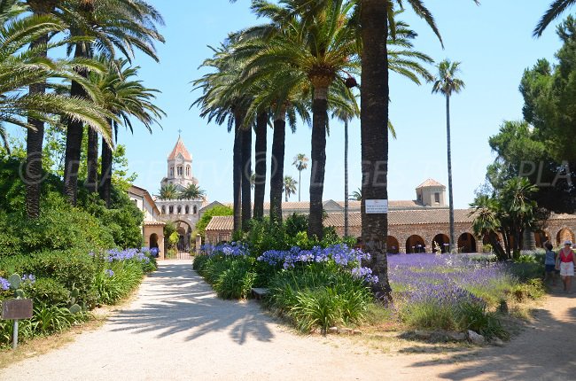 Abbaye et église de St Honorat