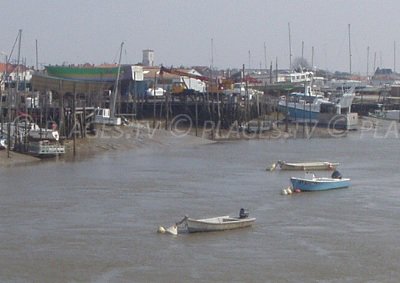 Port of Aiguillon sur Mer in France