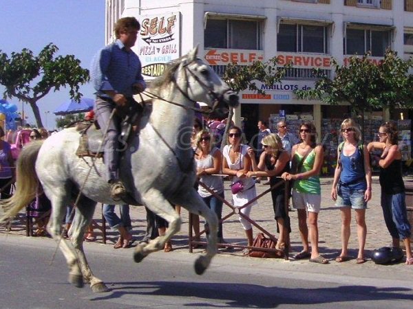 Street show with horses in Saintes Maries de la Mer