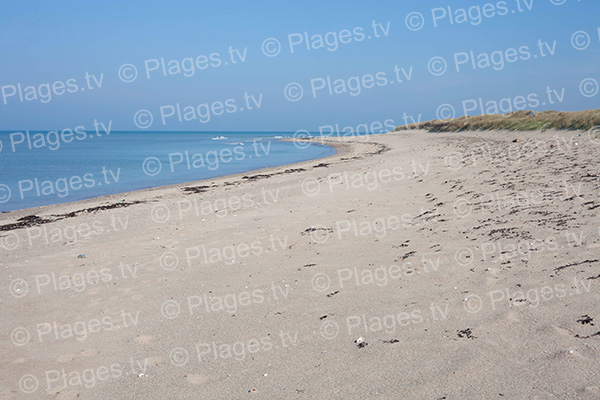 vue de la plage anneville nord