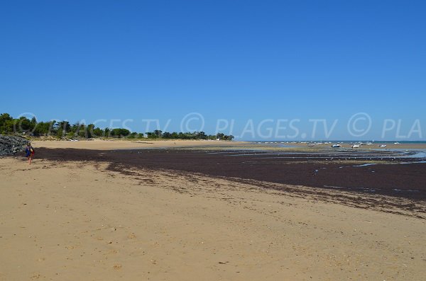 Anse de Fourneau avec vue sur la plage de la Loge - Les Portes en Ré