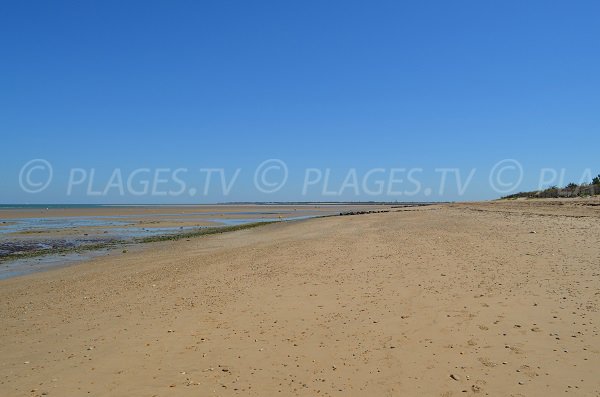 Fourneau beach and bench of Bucheron