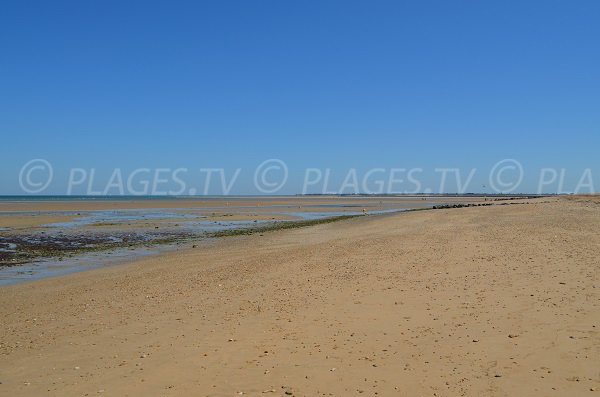 Plage à proximité du banc du Bucheron sur l'ile de Ré