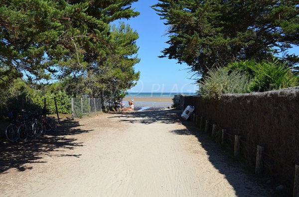 Access to the Fourneau beach - Ré Island