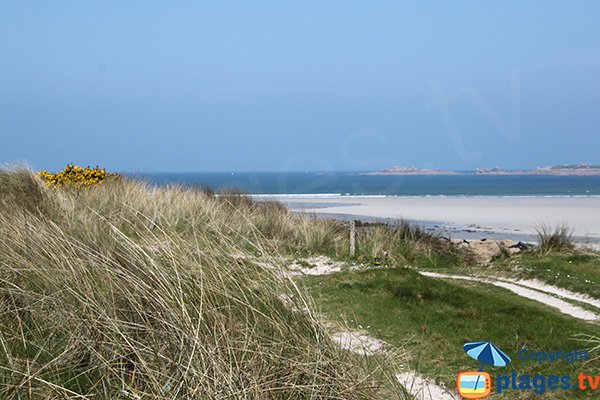 Sentier d'accès à la plage de Guillec de Plougoulm