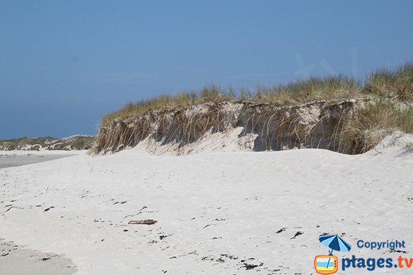 Plage de sable blanc à Plougoulm