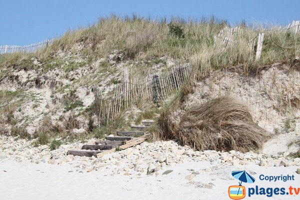 Accès aux plage de Guillec par la dune - Plougoulm