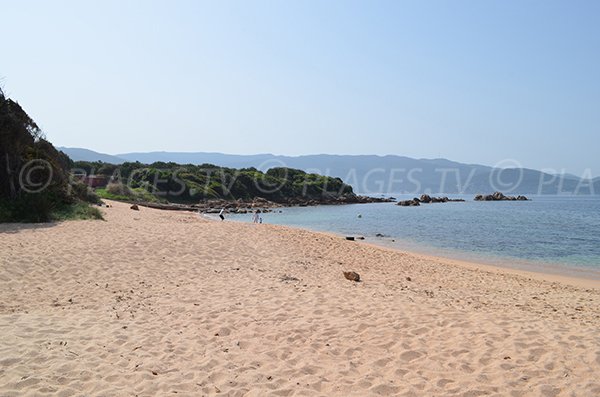 Plage de Medea au sud d'Isolella - côté Sud