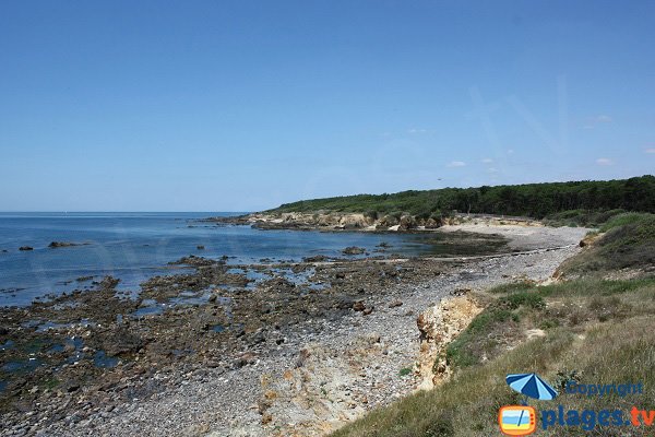 Mine beach - Talmont sur Hilaire