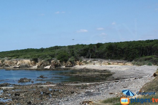 Criques de sable dans l'anse de la Mine - Talmont