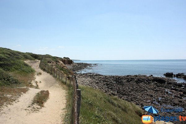 Sentier le long de l'anse de la Mine à Talmont