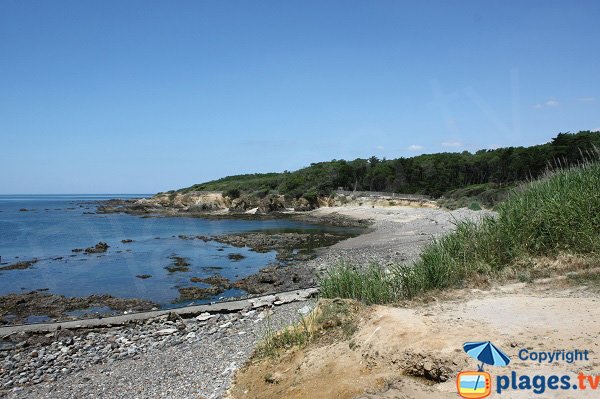 Photo de la plage dans l'anse de la Mine à Talmont Saint Hilaire