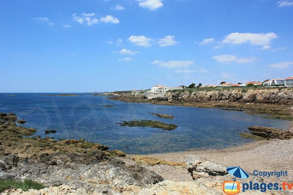 Vue sur la Côte Sauvage depuis l'anse aux Moines - Château d'Olonne