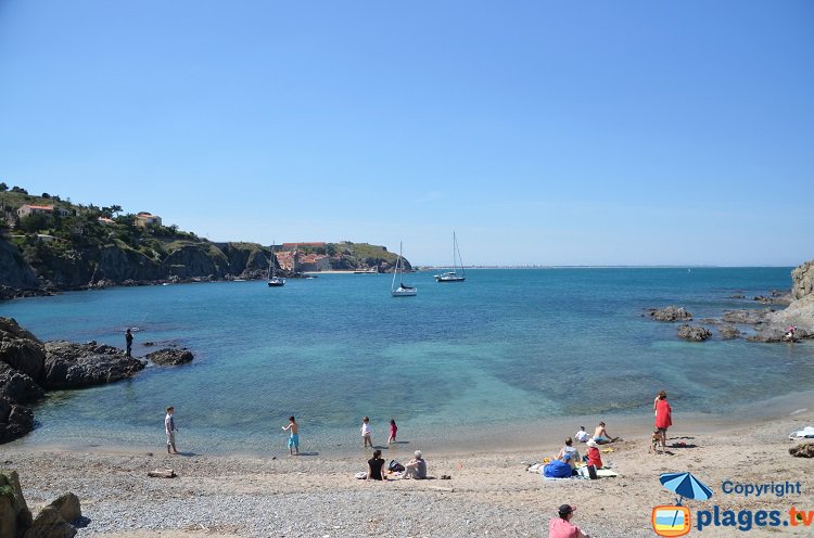 Anse de Reguers avec vue sur Collioure et Argelès