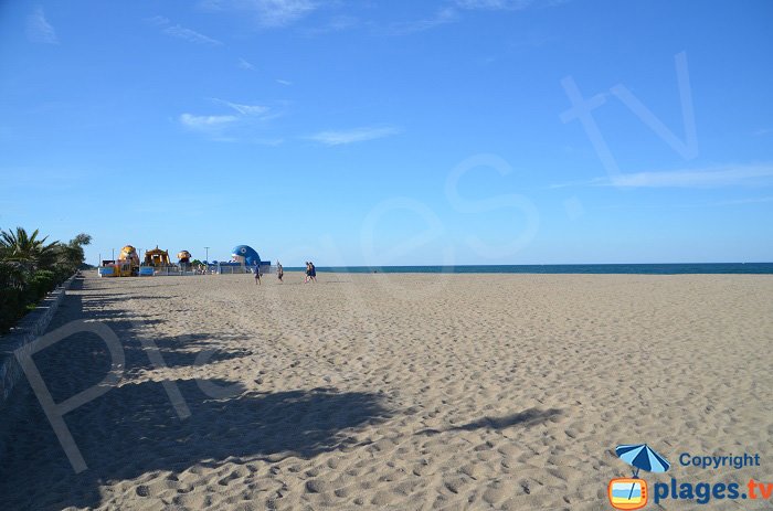 Pinienstrand in der Nähe des Zentrums von Argelès mit Blick nach Norden