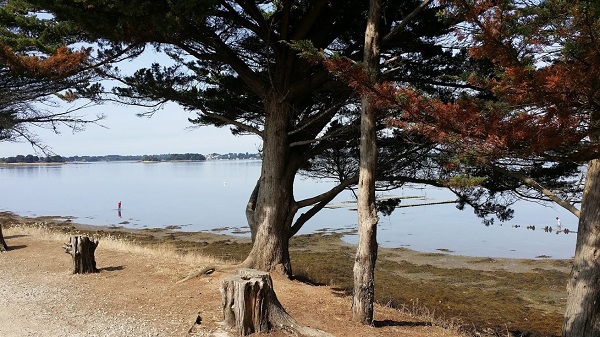 Les parcs à huitres sur l'ile d'Arz