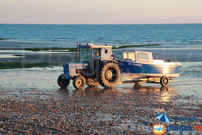 Flobart sur la plage d'Audresselles le soir