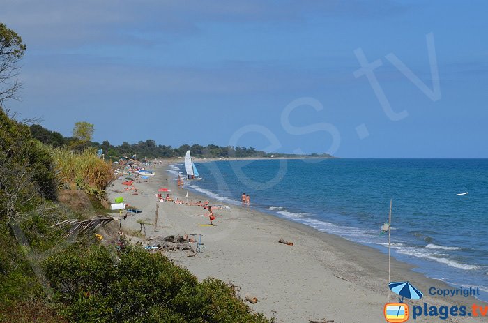 Bagheera Plage en Corse