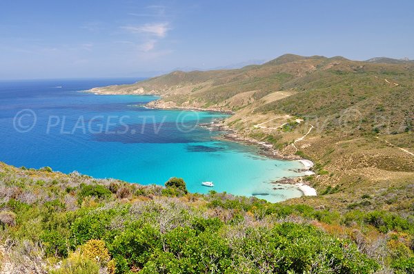 Plages dans la baie d'Acciolu dans le désert des Agriates - Corse