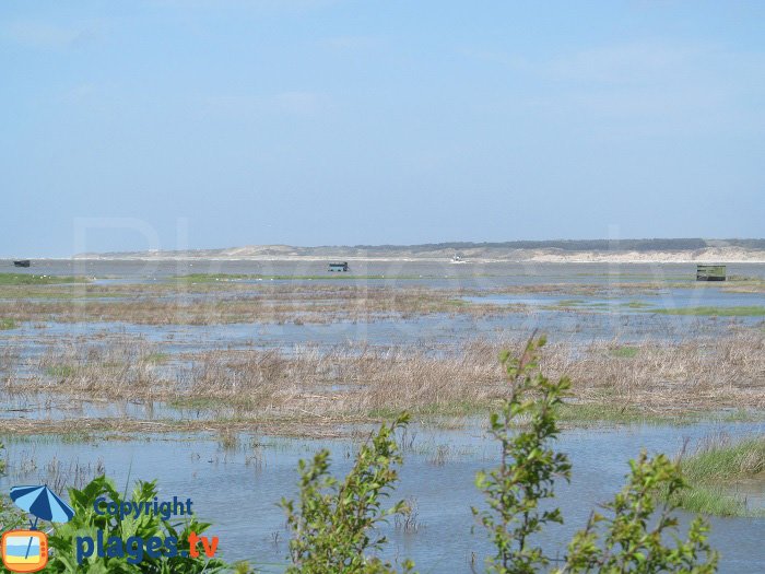 Baie de la Canche et dunes du Touquet