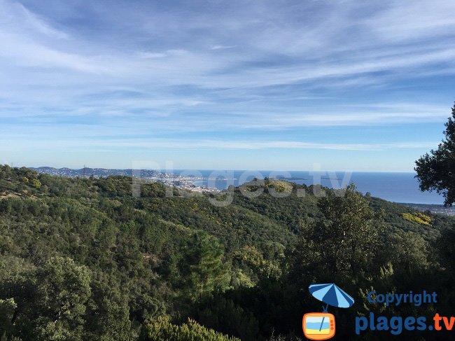 Baie de Cannes et de Mandelieu vue depuis le Tanneron