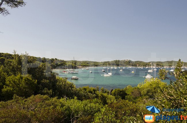 Bay of Notre Dame - Porquerolles