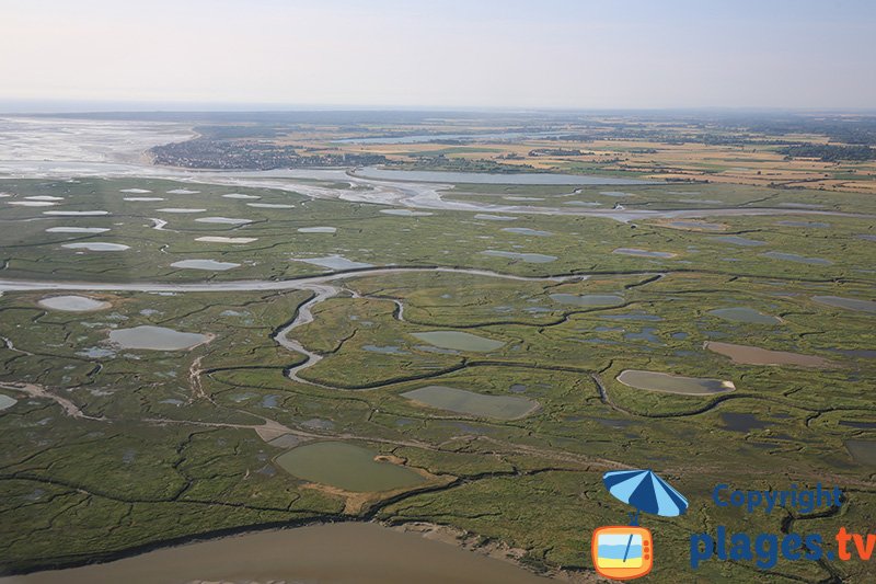 Baie de Somme