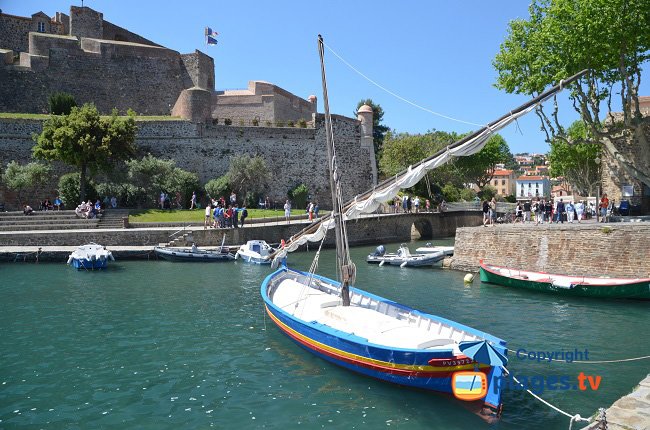 Barche nel porto di Collioure con il suo castello - Francia