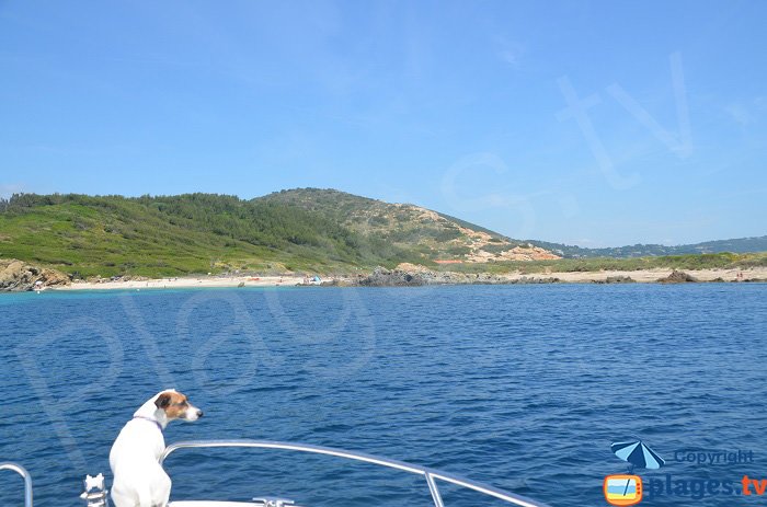 Côté ouest du Cap Taillat