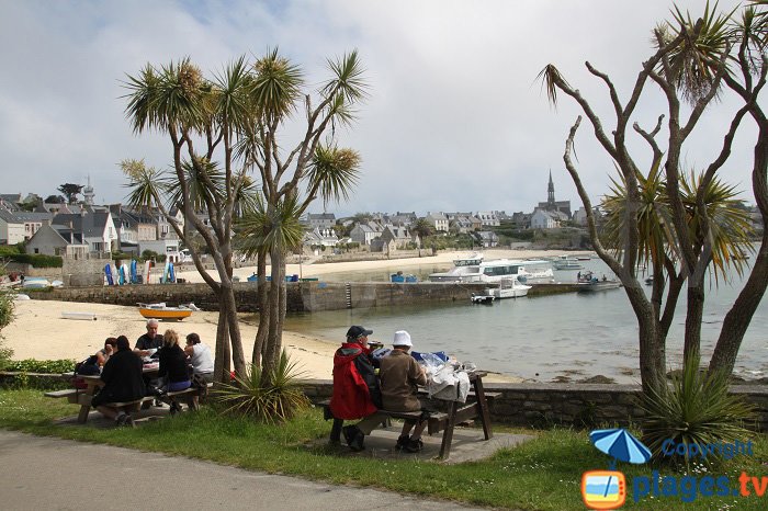 Microclimat sur l'ile de Batz avec ses plantes