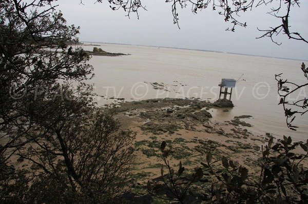 Plage le long du sentier des Douaniers à St Nazaire