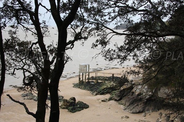 Pêcheries dans la bonne anse à St Nazaire 