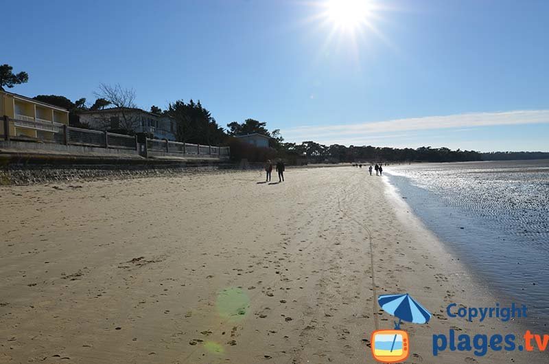 Bord de mer de Ronce les Bains