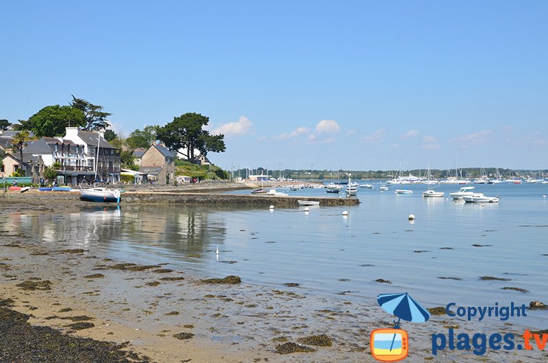 Ile aux Moines dans le golfe du Morbihan