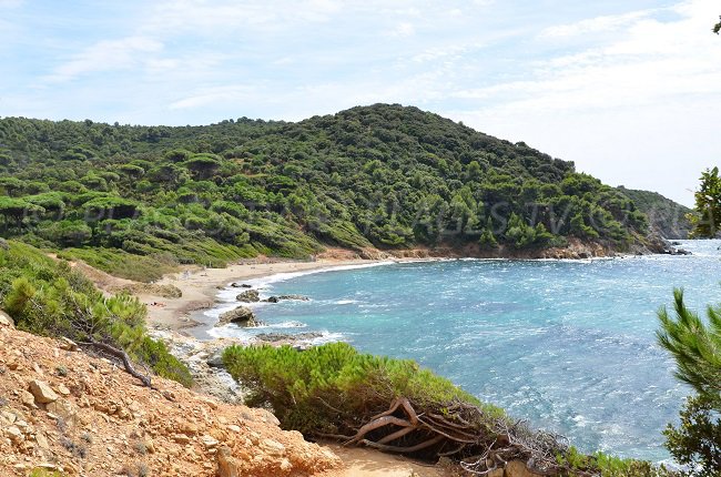 Les Brouis sur le sentier du littoral de la Croix Valmer